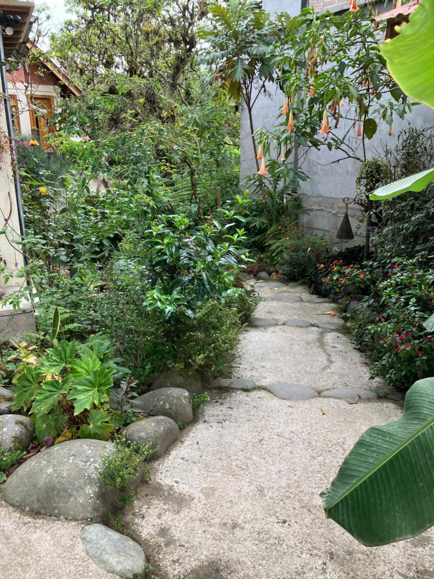 Casa Del Rio En Mindo Bed & Breakfast Екстериор снимка