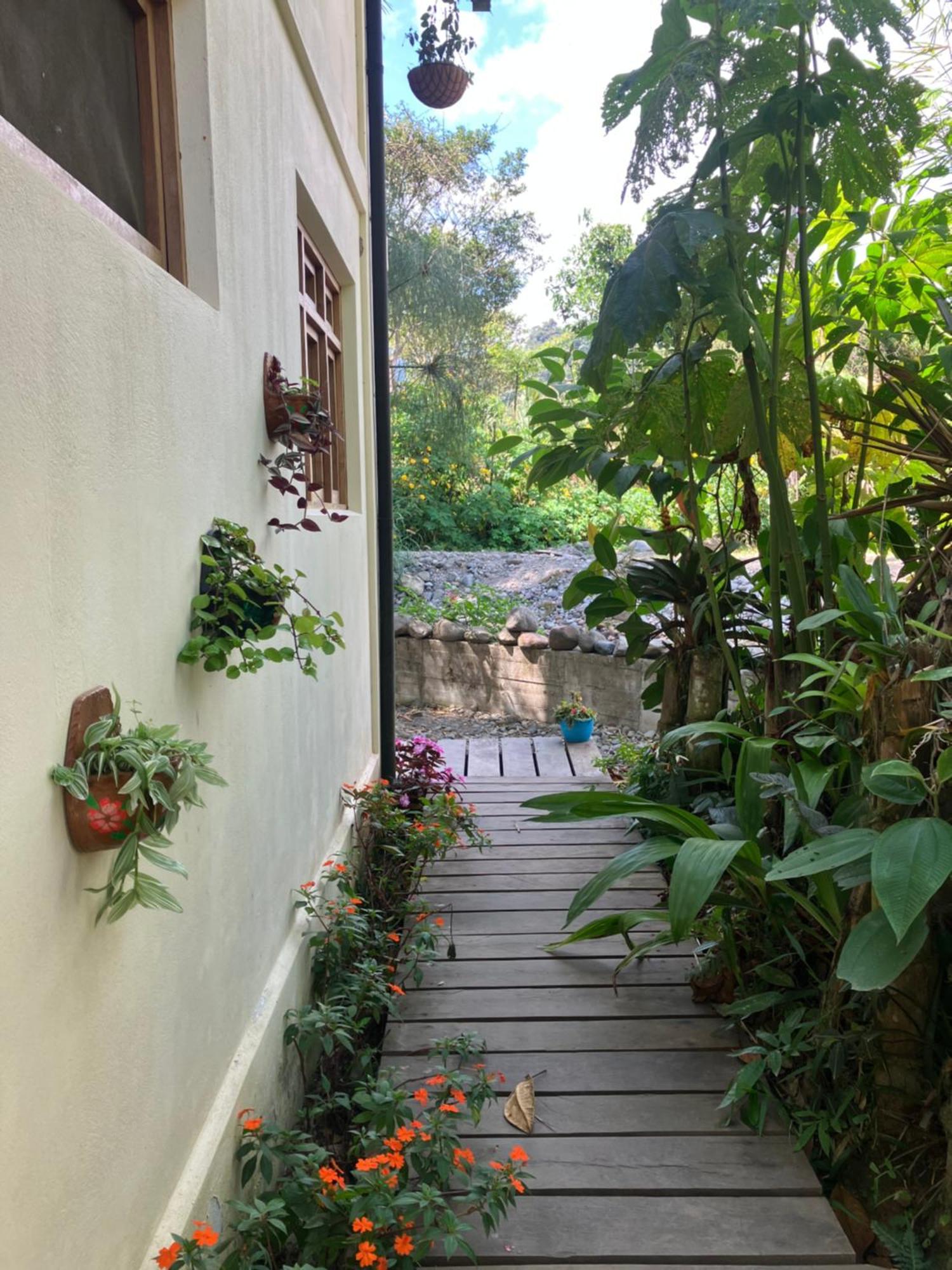 Casa Del Rio En Mindo Bed & Breakfast Екстериор снимка