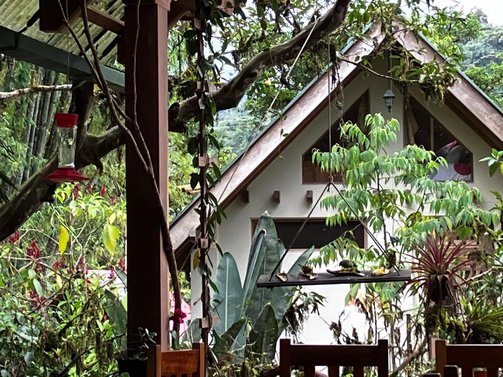 Casa Del Rio En Mindo Bed & Breakfast Екстериор снимка