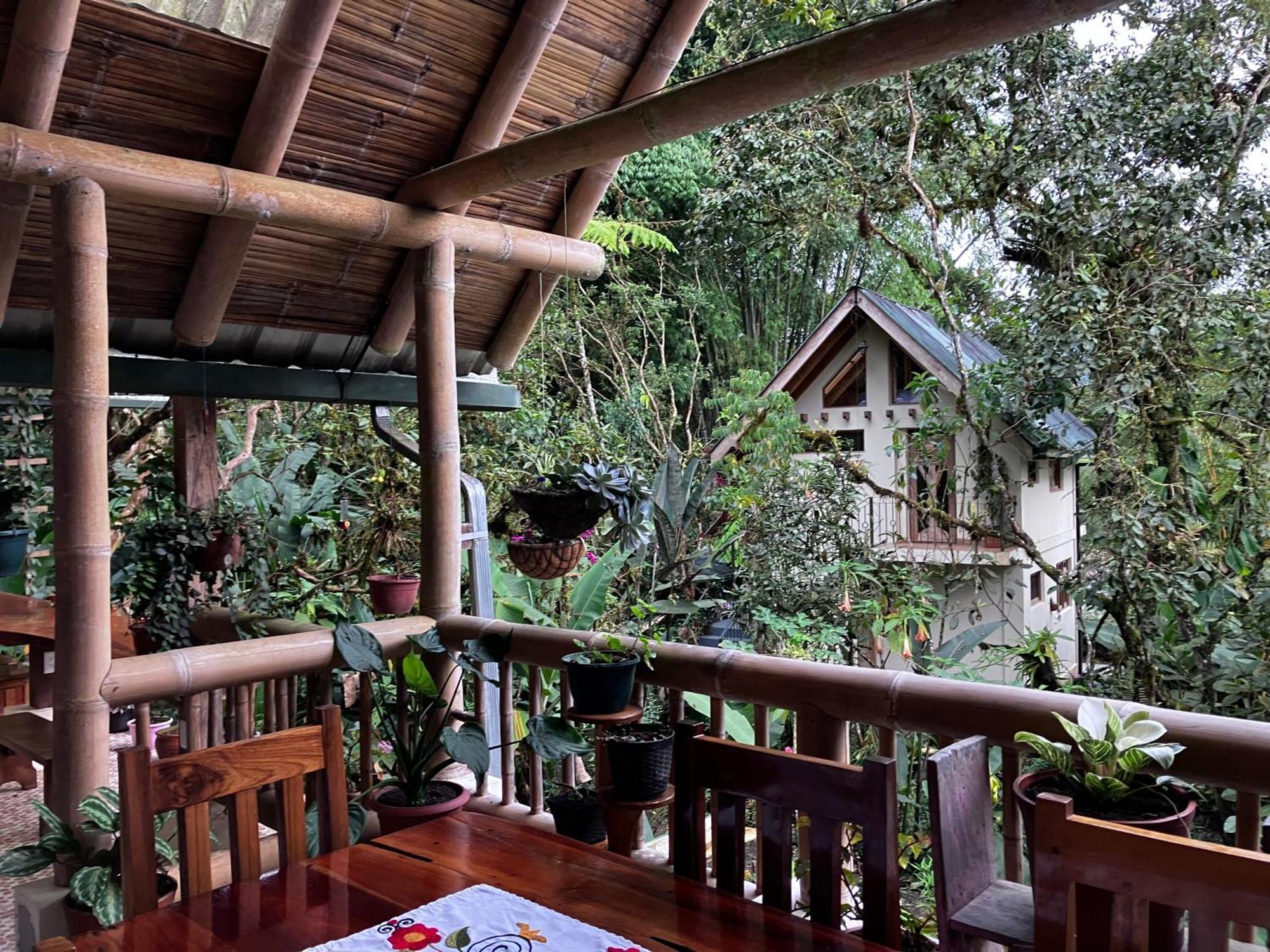 Casa Del Rio En Mindo Bed & Breakfast Екстериор снимка