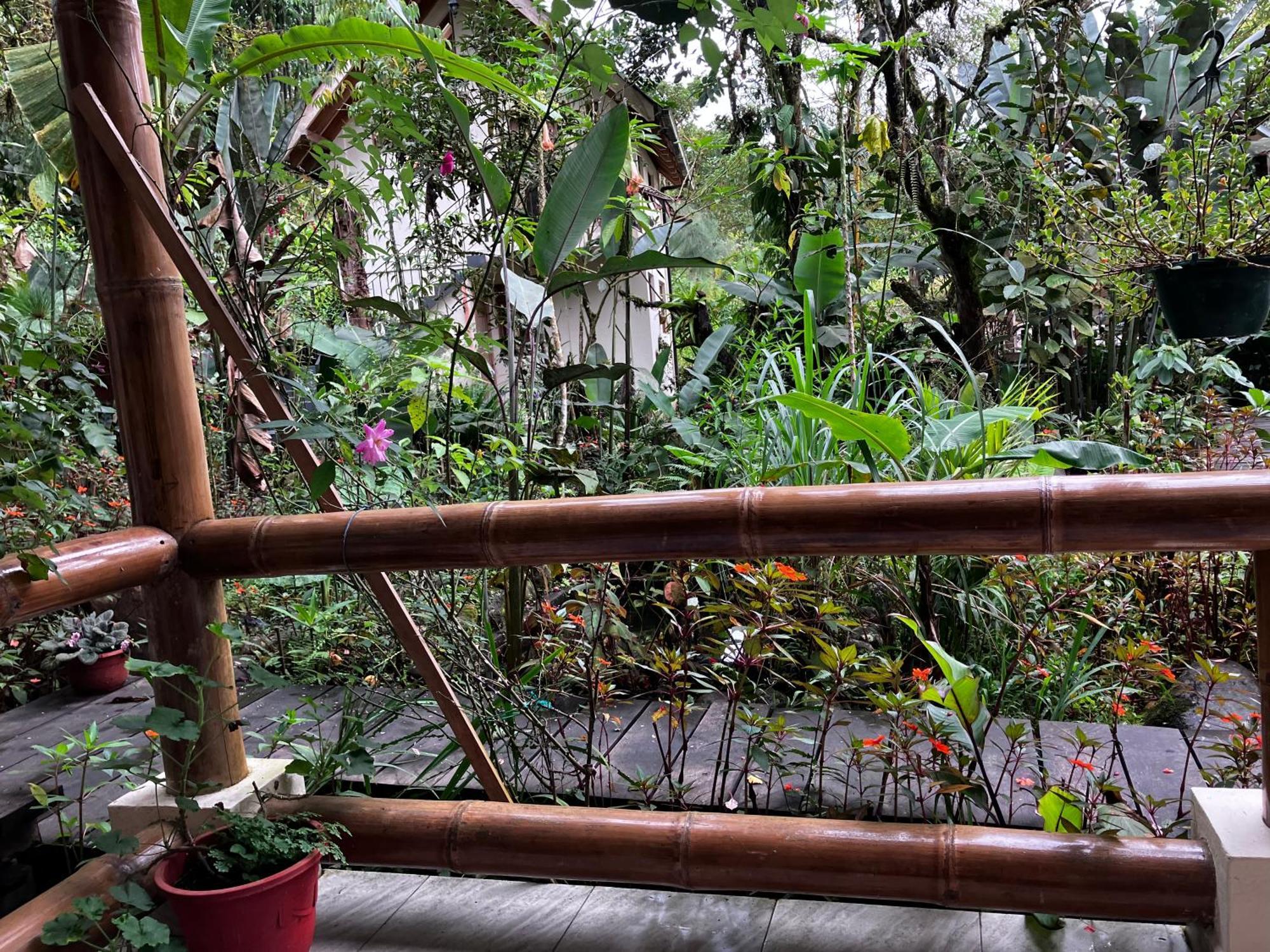 Casa Del Rio En Mindo Bed & Breakfast Екстериор снимка