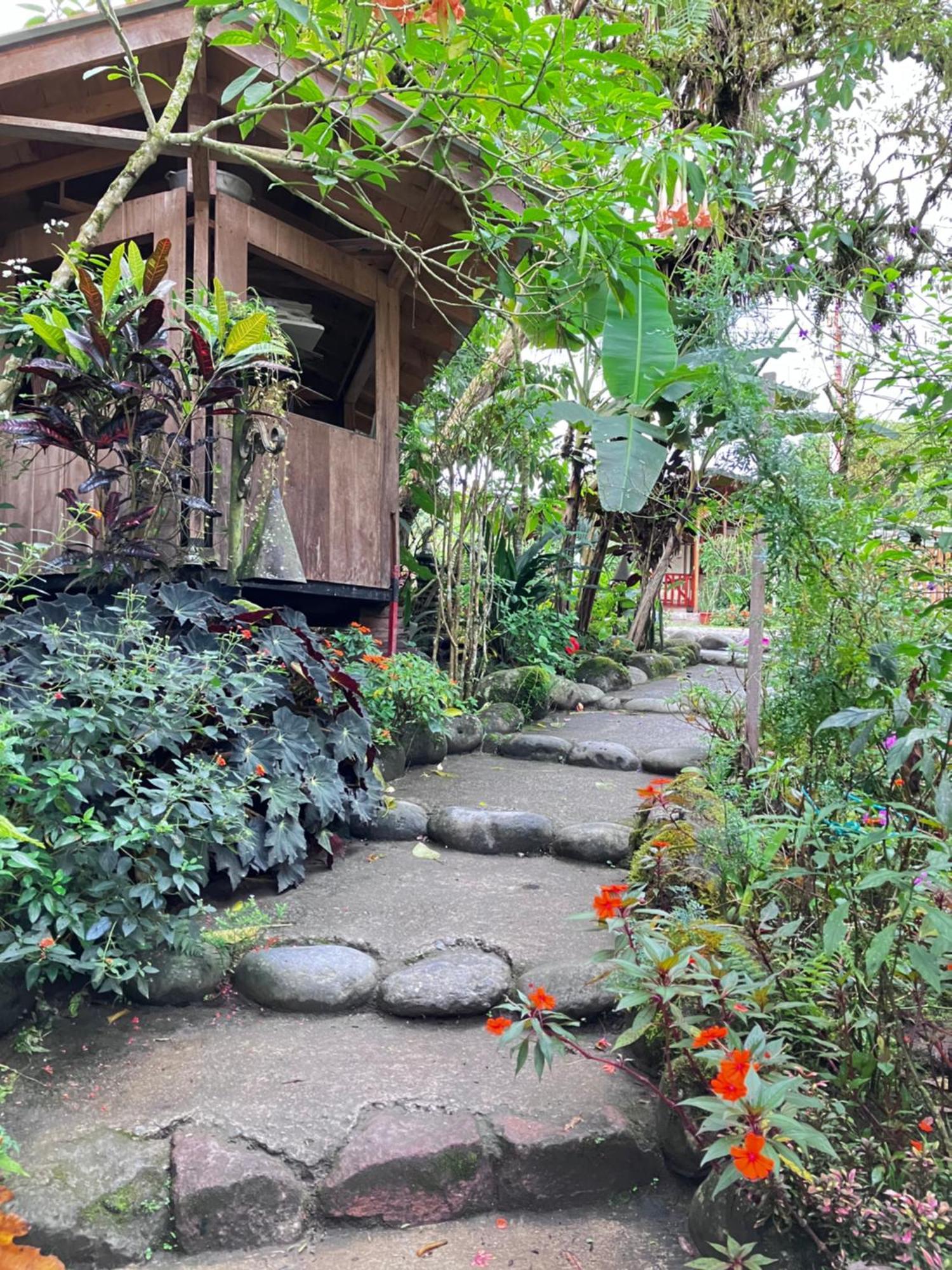 Casa Del Rio En Mindo Bed & Breakfast Екстериор снимка
