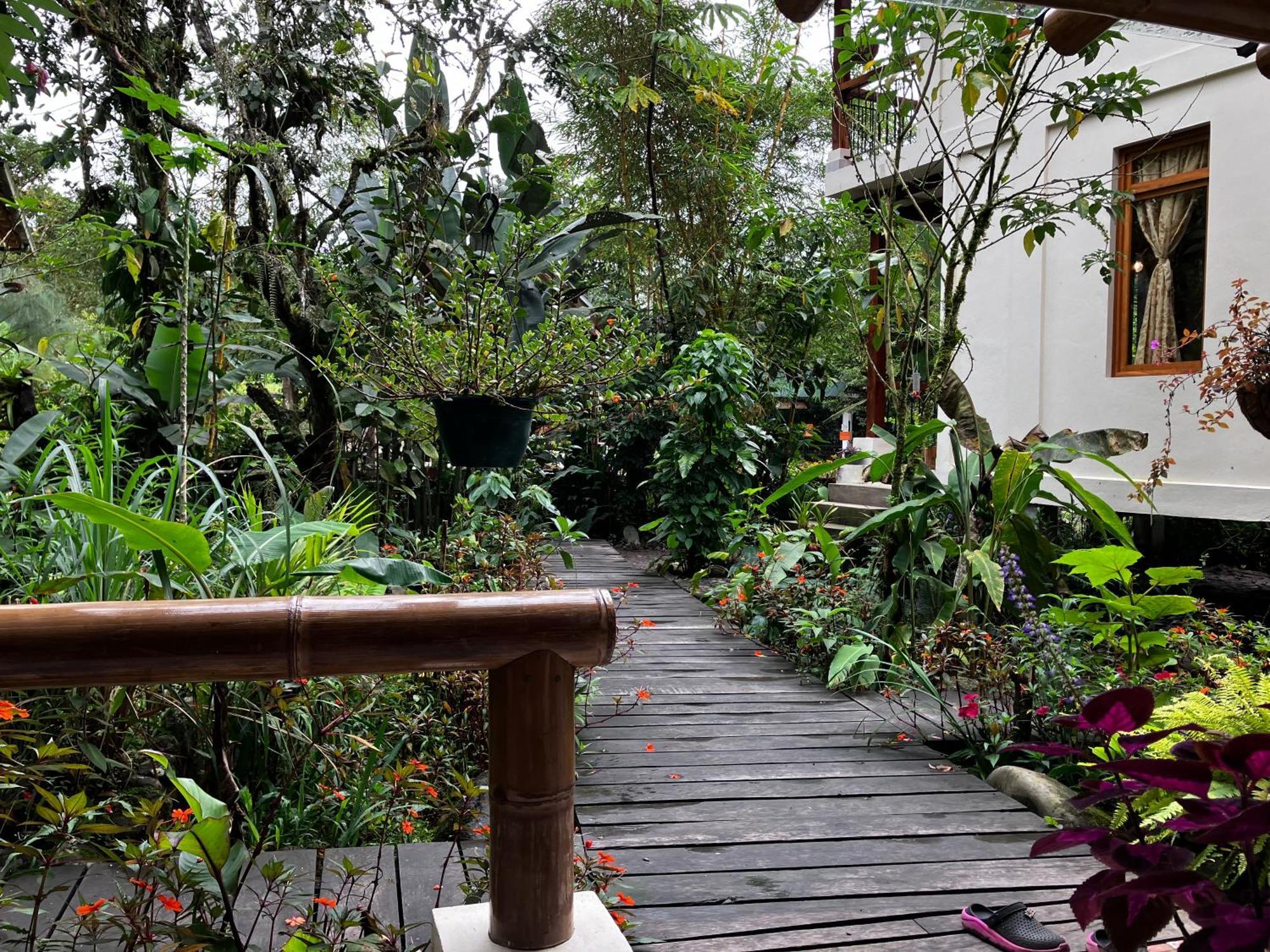 Casa Del Rio En Mindo Bed & Breakfast Екстериор снимка