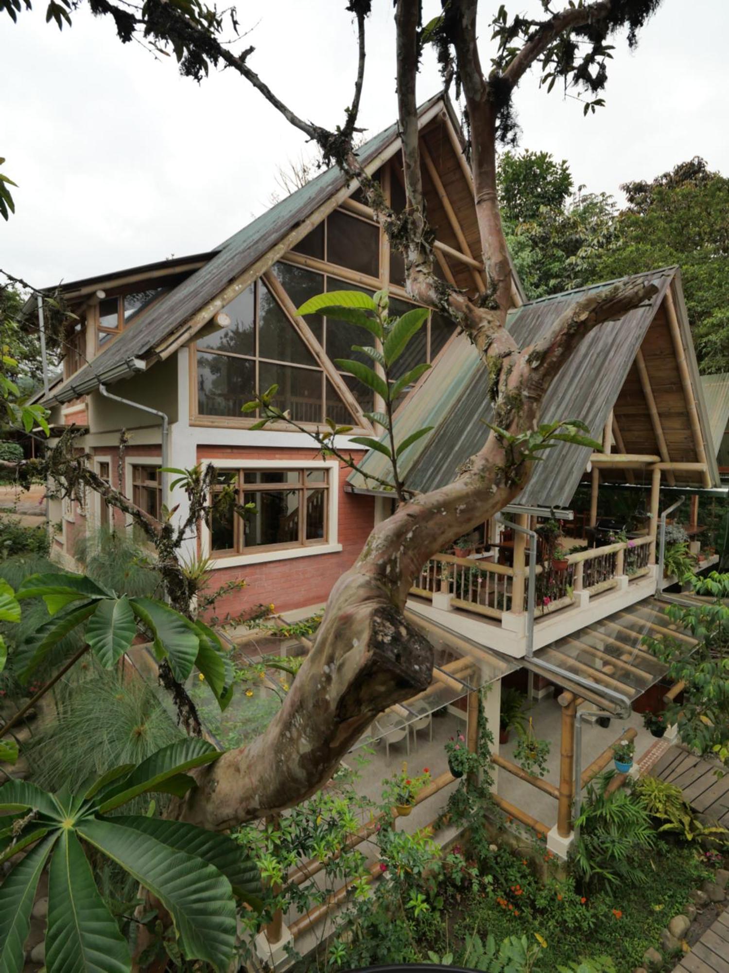 Casa Del Rio En Mindo Bed & Breakfast Екстериор снимка